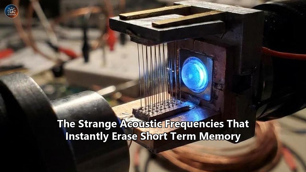 The Strange Acoustic Frequencies That Instantly Erase Short Term Memory