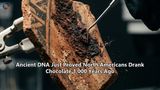 Ancient DNA Just Proved North Americans Drank Chocolate 1,000 Years Ago