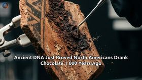 Ancient DNA Just Proved North Americans Drank Chocolate 1,000 Years Ago