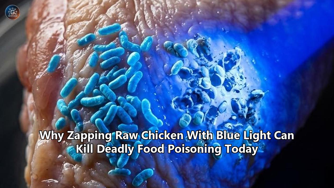Why Zapping Raw Chicken With Blue Light Can Kill Deadly Food Poisoning Today