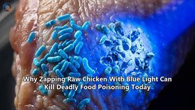 Why Zapping Raw Chicken With Blue Light Can Kill Deadly Food Poisoning Today