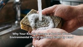Why Your Kitchen Sponge Is Not the Worst Environmental Part of Washing Dishes by Hand