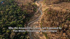 Why the Amazon Dry Season Just Expanded by Five Weeks Threatening Total Collapse