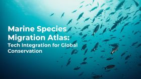 Marine Species Migration Atlas: Tech Integration for Global Conservation
