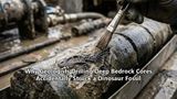 Why Geologists Drilling Deep Bedrock Cores Accidentally Struck a Dinosaur Fossil