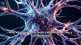 Why a Single Human Brain Cell Computes Like a Full Microchip