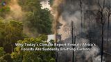Why Today's Climate Report Reveals Africa's Forests Are Suddenly Emitting Carbon