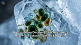 The Surprising Discovery That Freezing Ice May Have Actually Sparked Early Life