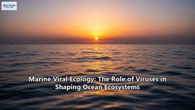 Marine Viral Ecology: The Role of Viruses in Shaping Ocean Ecosystems