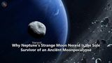 Why Neptune's Strange Moon Nereid Is the Sole Survivor of an Ancient Moonpocalypse