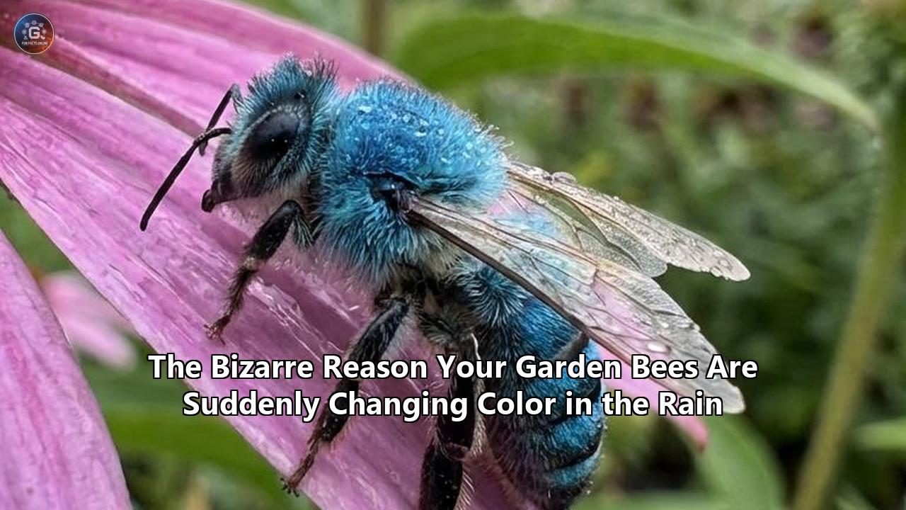 The Bizarre Reason Your Garden Bees Are Suddenly Changing Color in the Rain