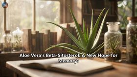 Aloe Vera’s Beta-Sitosterol: A New Hope for Memory?