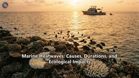 Marine Heatwaves: Causes, Durations, and Ecological Impacts