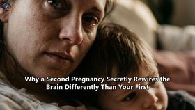 Why a Second Pregnancy Secretly Rewires the Brain Differently Than Your First