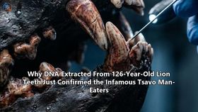 Why DNA Extracted From 126-Year-Old Lion Teeth Just Confirmed the Infamous Tsavo Man-Eaters