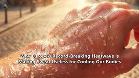 Why Europe's Record-Breaking Heatwave is Making Sweat Useless for Cooling Our Bodies