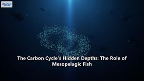 The Carbon Cycle's Hidden Depths: The Role of Mesopelagic Fish