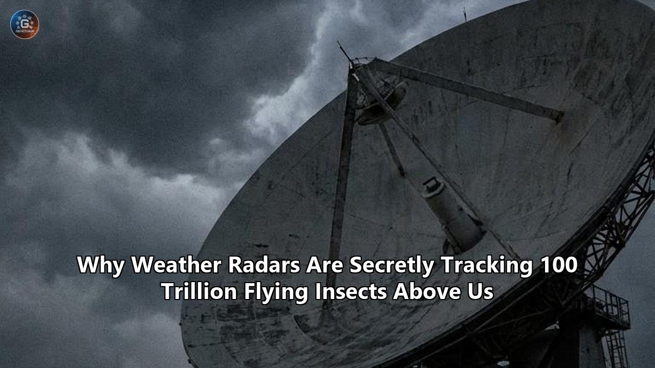 Why Weather Radars Are Secretly Tracking 100 Trillion Flying Insects Above Us