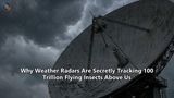Why Weather Radars Are Secretly Tracking 100 Trillion Flying Insects Above Us