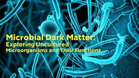 Microbial Dark Matter: Exploring Uncultured Microorganisms and Their Functions