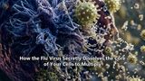 How the Flu Virus Secretly Dissolves the Core of Your Cells to Multiply