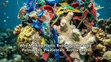 Why Melting Plastic Rubbish Is Creating Permanent 'Plasticorals' Across Reefs