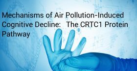 Mechanisms of Air Pollution-Induced Cognitive Decline: The CRTC1 Protein Pathway