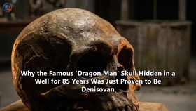 Why the Famous 'Dragon Man' Skull Hidden in a Well for 85 Years Was Just Proven to Be Denisovan