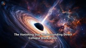 The Vanishing Star: Understanding Direct Collapse Black Holes