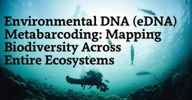 Environmental DNA (eDNA) Metabarcoding: Mapping Biodiversity Across Entire Ecosystems