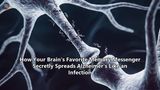 How Your Brain's Favorite Memory Messenger Secretly Spreads Alzheimer's Like an Infection