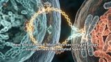 How Circular RNA Molecules Secretly Let Genes Jump Between Unrelated Species