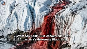 What Scientists Just Uncovered Inside Antarctica's Gruesome Blood Falls
