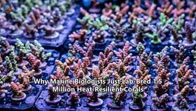 Why Marine Biologists Just Lab-Bred 1.5 Million Heat-Resilient Corals