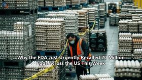 Why the FDA Just Urgently Recalled 20 Million Eggs Across the US This Week
