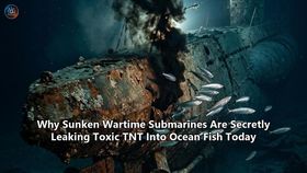 Why Sunken Wartime Submarines Are Secretly Leaking Toxic TNT Into Ocean Fish Today