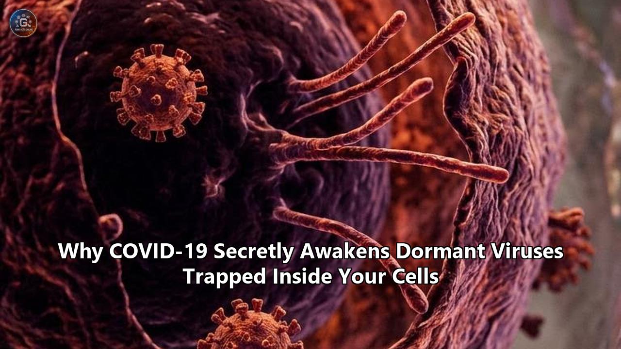 Why COVID-19 Secretly Awakens Dormant Viruses Trapped Inside Your Cells