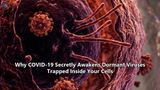 Why COVID-19 Secretly Awakens Dormant Viruses Trapped Inside Your Cells