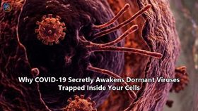 Why COVID-19 Secretly Awakens Dormant Viruses Trapped Inside Your Cells