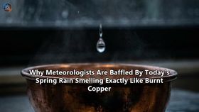 Why Meteorologists Are Baffled By Today's Spring Rain Smelling Exactly Like Burnt Copper