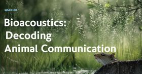 Bioacoustics: Decoding Animal Communication
