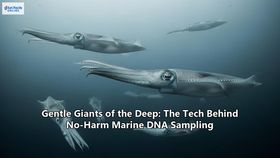 Gentle Giants of the Deep: The Tech Behind No-Harm Marine DNA Sampling