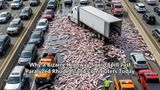 Why a Bizarre Highway Squid Spill Just Paralyzed Rhode Island Commuters Today