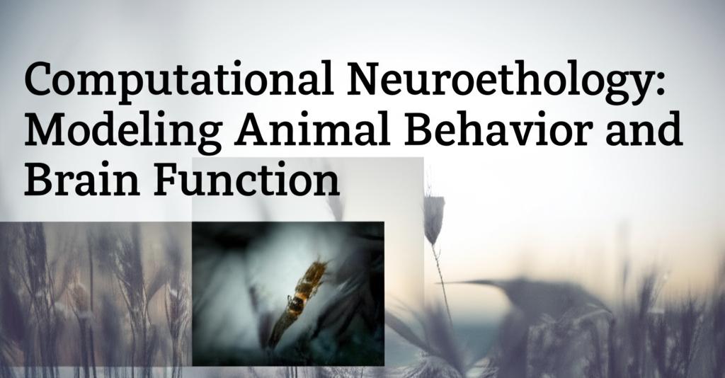 Computational Neuroethology: Modeling Animal Behavior and Brain Function