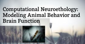 Computational Neuroethology: Modeling Animal Behavior and Brain Function