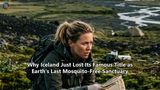 Why Iceland Just Lost Its Famous Title as Earth's Last Mosquito-Free Sanctuary