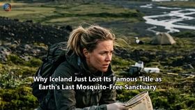 Why Iceland Just Lost Its Famous Title as Earth's Last Mosquito-Free Sanctuary