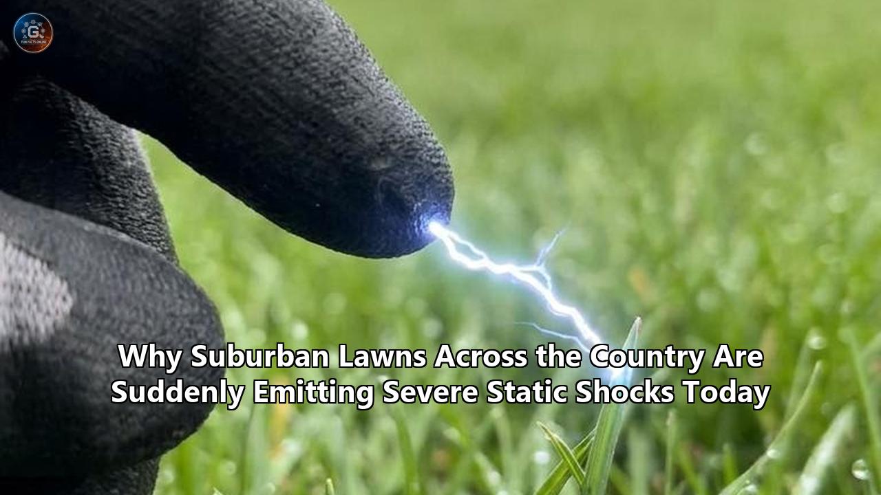 Why Suburban Lawns Across the Country Are Suddenly Emitting Severe Static Shocks Today