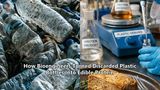 How Bioengineers Turned Discarded Plastic Bottles Into Edible Protein