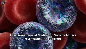 How Seven Days of Meditation Secretly Mimics Psychedelics in Your Blood